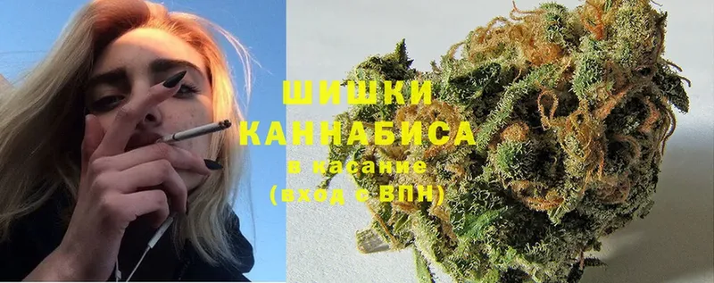 МАРИХУАНА SATIVA & INDICA  купить наркотик  Боровичи 